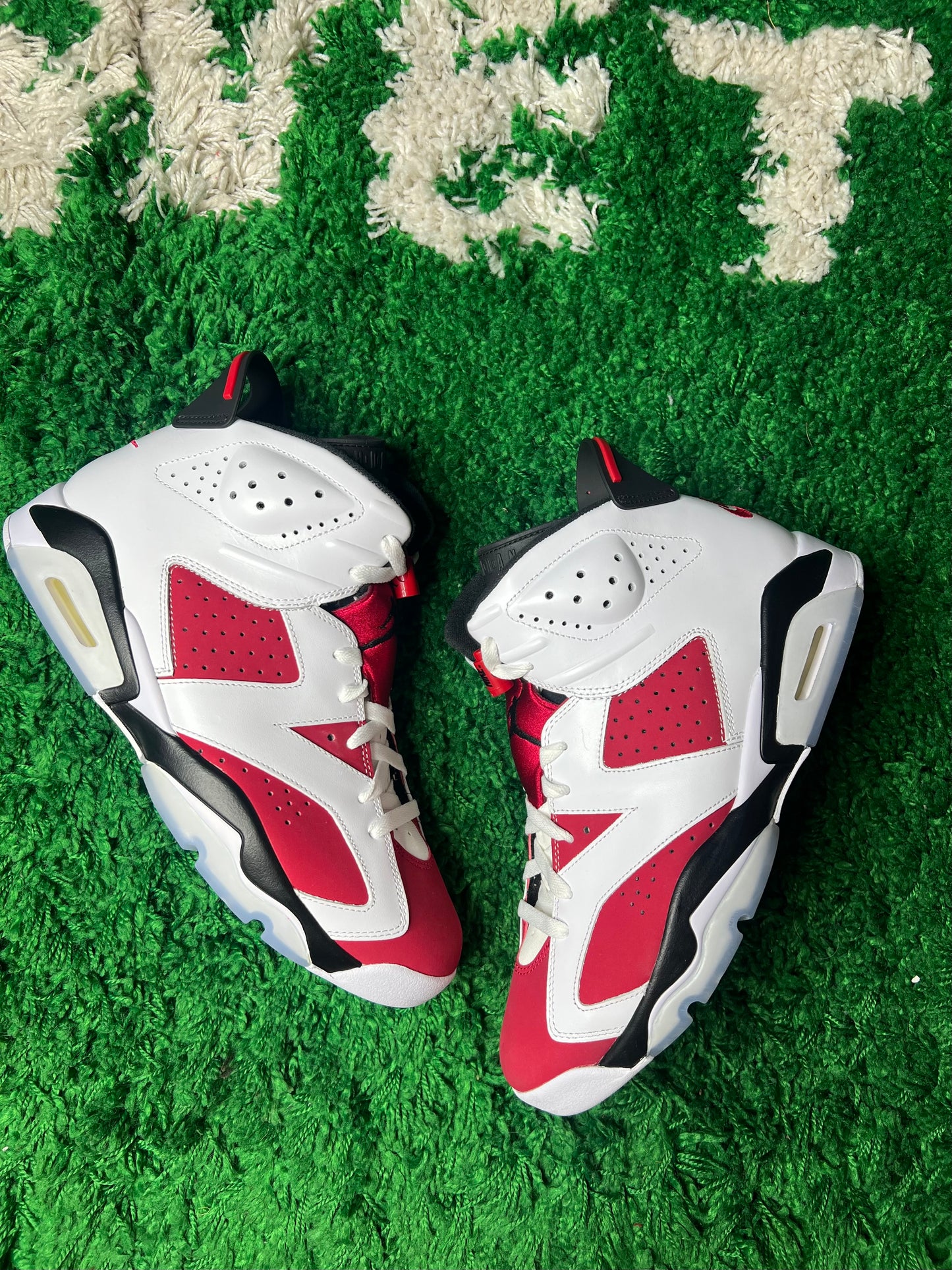 Jordan 6 Carmine - Brand New